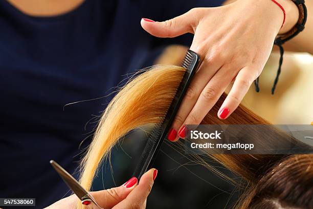 Female Hairdresser Hold In Hand Lock Of Blonde Hair Stock Photo - Download Image Now