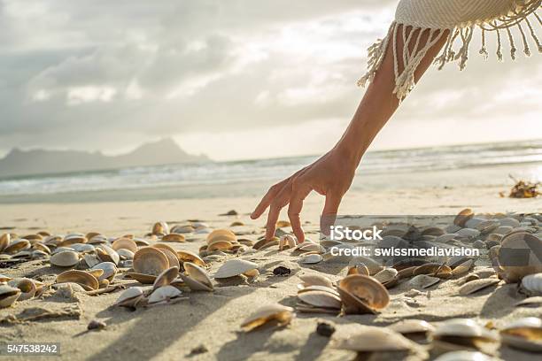 Womans Hand Picking Up Seashells From Beach At Sunset Stock Photo - Download Image Now