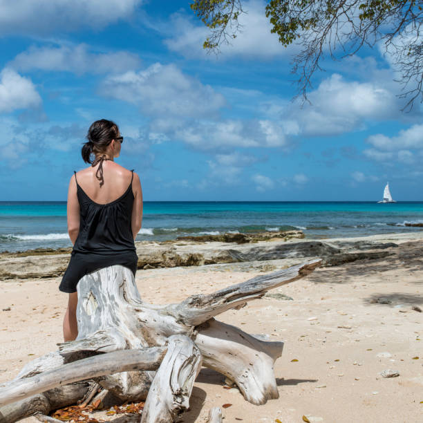 istock Woman rests against log stump on deserted beach 550207841
