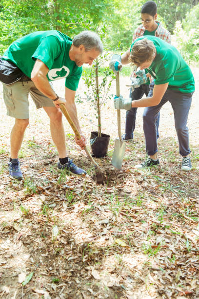 istock Environmentalist volunteers planting new tree 554392301