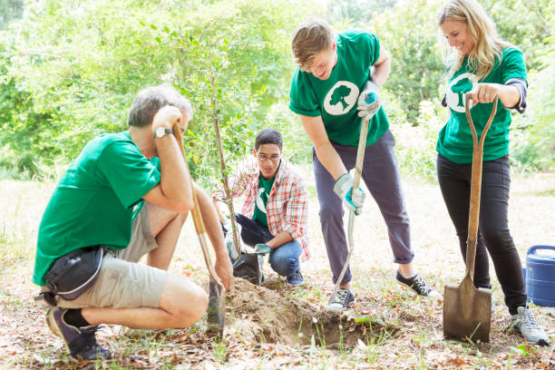 istock Environmentalist volunteers planting new tree 554392343