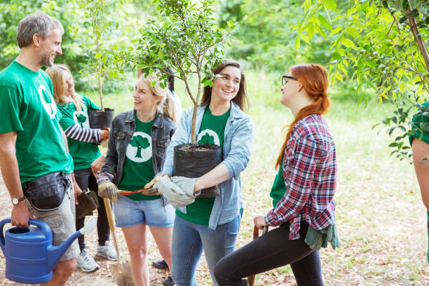 istock Environmentalist volunteers planting new trees 554392553
