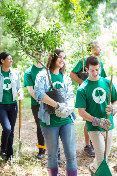 smiling environmentalist volunteers planting new tree - nature selective focus green vertical imagens e fotografias de stock