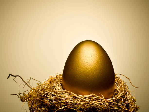 Golden egg on gold nest still life  nest egg stock pictures, royalty-free photos & images