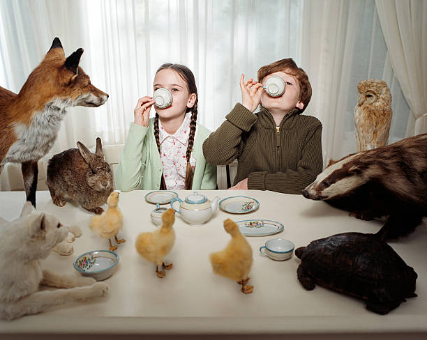crianças tendo um chá festivo com animais - party tea party tea child - fotografias e filmes do acervo