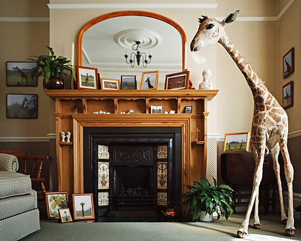 rempli girafe dans une salle de séjour - stuffed animal photos photos et images de collection