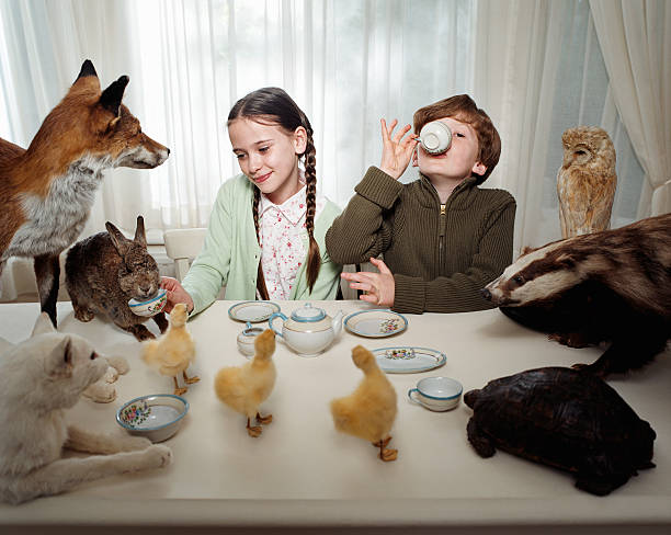 los niños con un té fiesta con animales - stuffed animal fotos fotografías e imágenes de stock