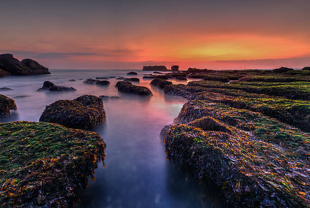 istock Amazing sunset at tropical beach in Bali, Indonesia 564559692