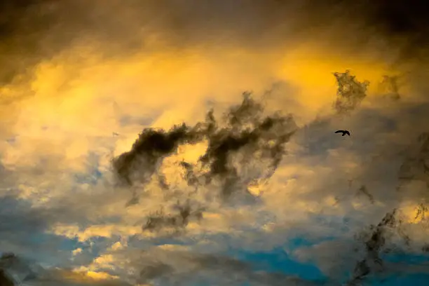 Photo of color effects storm sky with clouds  in Thailand.