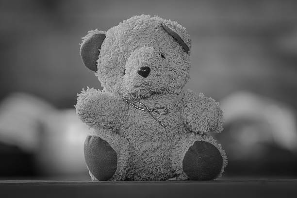 istock Black and white teddy bears sitting on old wood background 564561774