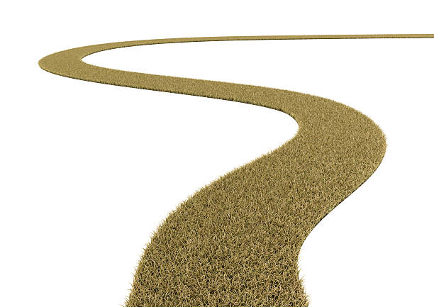 istock Curved dry grass road on white background. 564563348