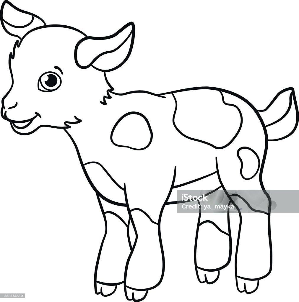 Coloring pages. Farm animals. Little cute goatling smiles. Coloring pages. Farm animals. Little cute spotted goatling stands and smiles. Farm stock vector
