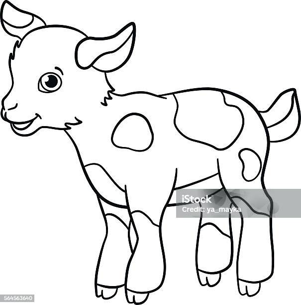 Coloring Pages Farm Animals Little Cute Goatling Smiles Stock Illustration - Download Image Now