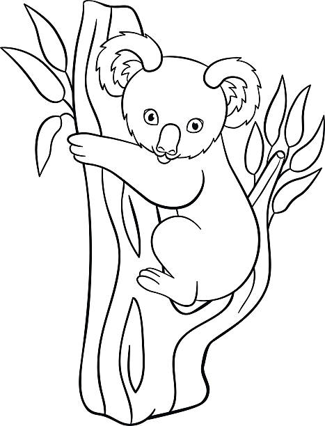 ページの色付け。小さなかわいい赤ちゃんコアラは微笑みます。 - koala australia animal isolated点のイラスト素材／クリップアート素材／マンガ素材／アイコン素材