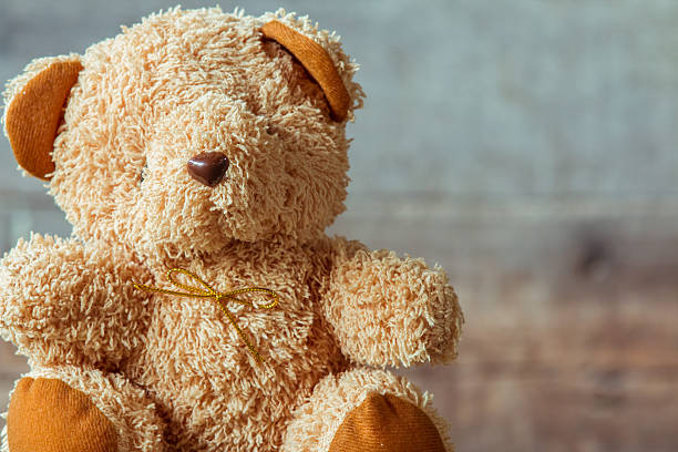 istock Cute teddy bears sitting on old wood background 564564630