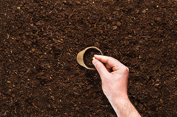 istock Hand planting seeds on a natural soil background 564566468