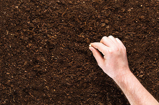 istock Hand planting seeds on a natural soil background 564566638