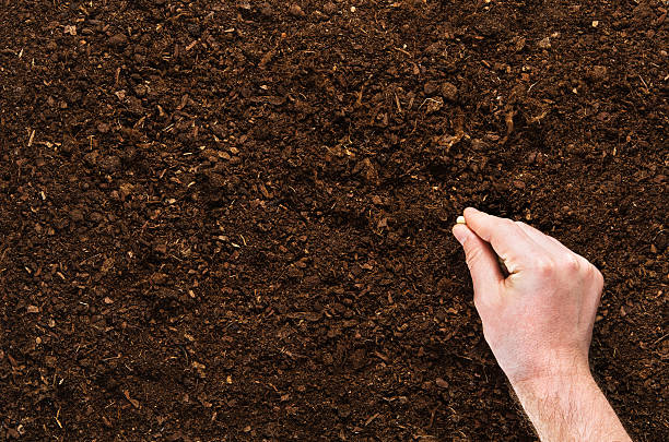 istock Hand planting seeds on a natural soil background 564566722