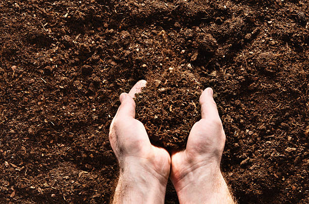 istock Hand planting seeds on a natural soil background 564568544