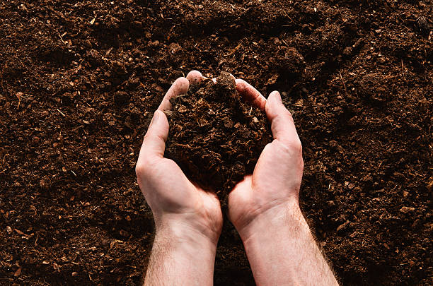 istock Hand planting seeds on a natural soil background 564568642