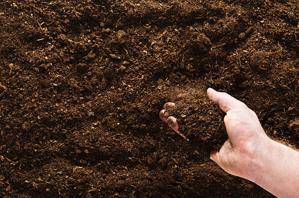 istock Hand planting seeds on a natural soil background 564568740