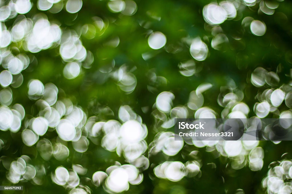 Diffuse Backround Background In Spring Green Colors Bokeh Diffuse Effect Stock Photo ...