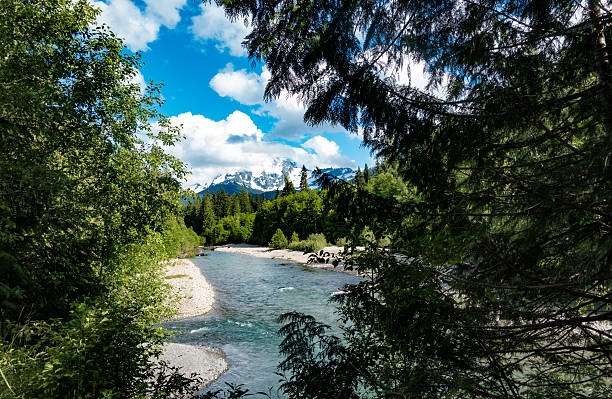 Mt Baker, Washington State, USA Nooksack River Sunny Summer Day