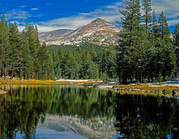istock Mt.Gibbs, Yosemite National Park, California 564573198