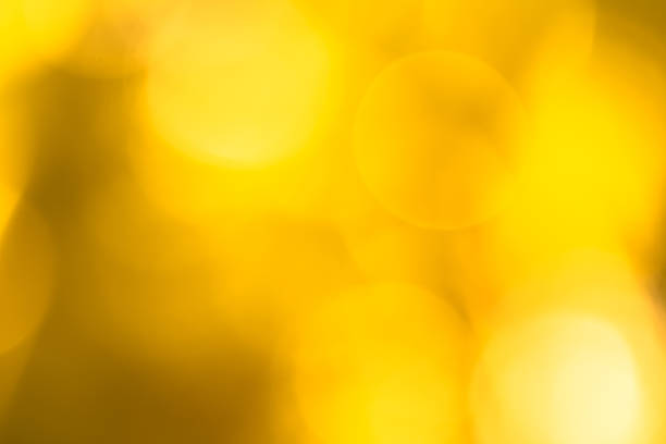 istock Golden heaven light Hope concept abstract blurred background from nature 564574694