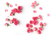 Framework from roses on white background. Flat lay. Top view