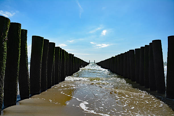 istock Groynes Water Sea Dishoek  The Netherlands 564580034