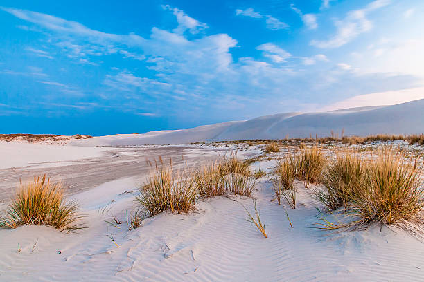 istock beautiful view of the coastal dunes 564581166