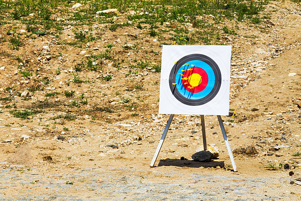 istock Outdoor target with bolts from a crossbow 564582200