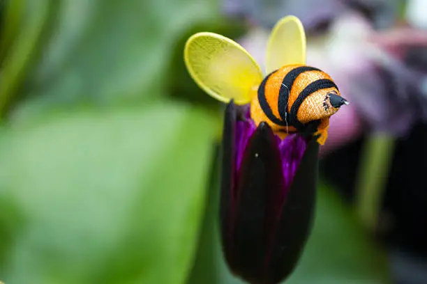 bee living on flowerslotus flower