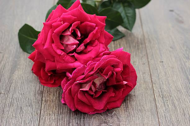 istock Red roses on wooden vintage table 564584352