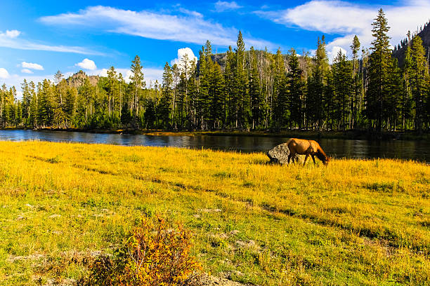 istock amazing mountains in  Yellowstone National Park 564584700
