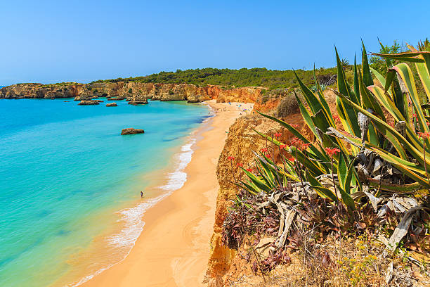 istock View of a Praia da Rocha beach 564584738
