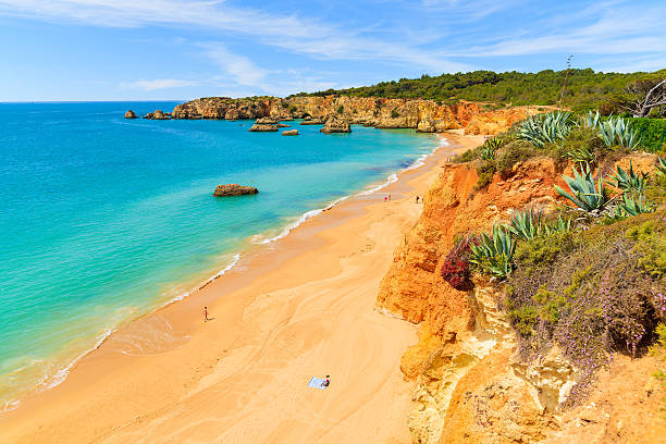 istock View of a Praia da Rocha beach 564584856