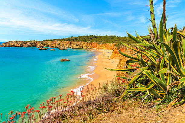 istock View of a Praia da Rocha beach 564584954