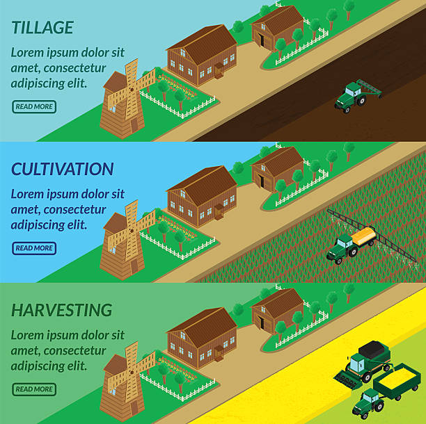 rolnictwo banerów internetowych - isometric combine harvester tractor farm stock illustrations