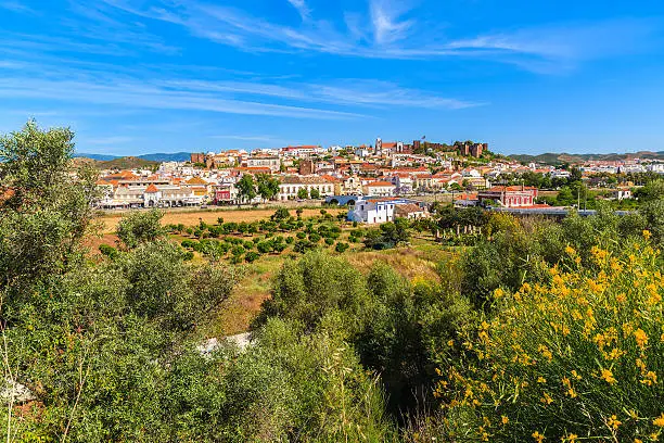 Spring yellow flowers with view of Silves town built on green hill, Algarve region, Portugal