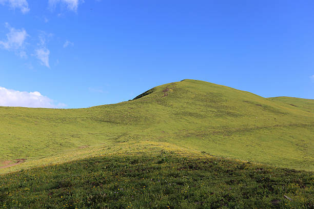 istock Beautiful high mountain grassland 564585906