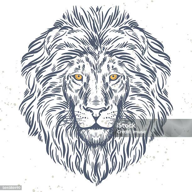 Hand Drawn Lion Head Illustration Stock Illustration - Download Image Now - Lion - Feline, Illustration, Tattoo