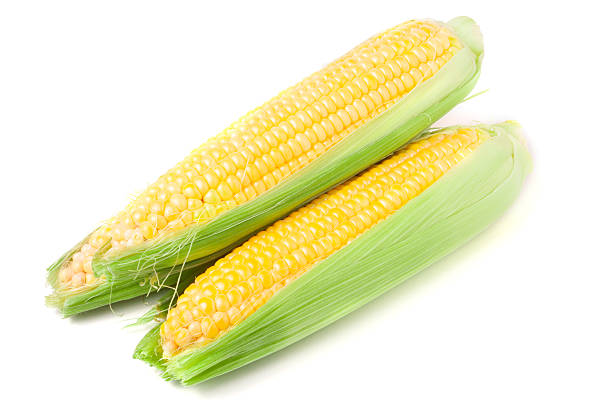 istock Three ear of corn with leaves isolated on white background 564592086