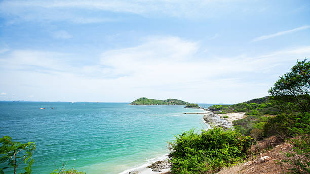 istock Coastline of Koh Sichang 564593474