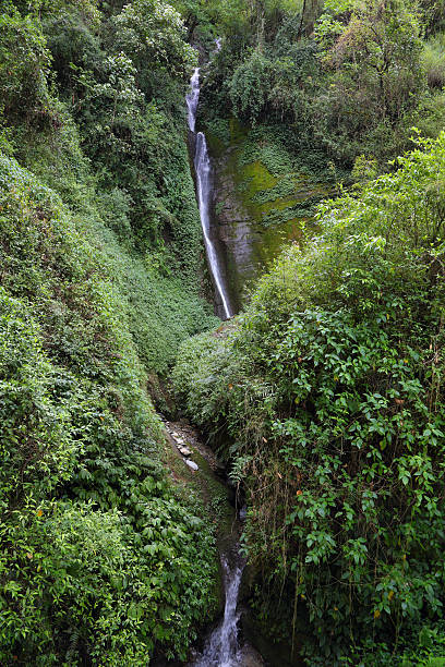 istock Waterfall near Landruk in Nepal 564595918