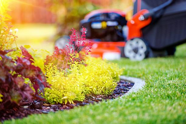 Taking Care of Garden Concept