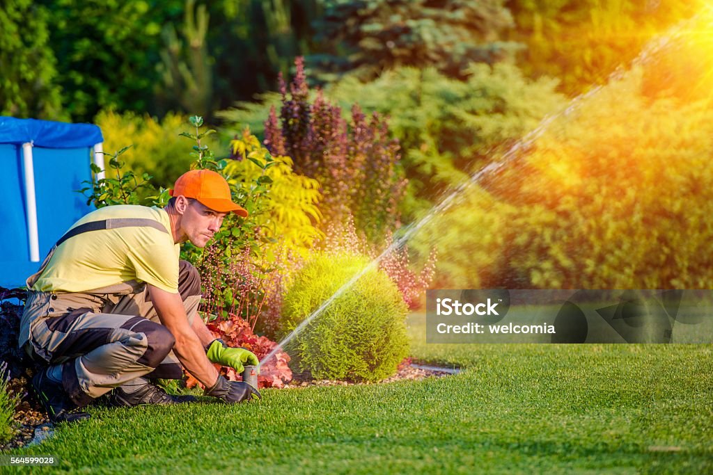 Garden Watering Systems Garden Watering Systems. Garden Technician Testing Watering Sprinkler System in the Residential Garden. Yard - Grounds Stock Photo