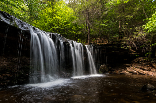 Waterfall in the middle of a green forest, at Ricketts Glen State Park