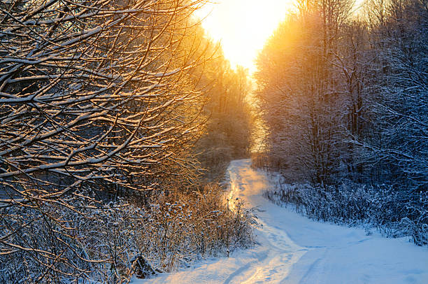 istock Beautiful winter sunset over curvy road in countryside 564601912